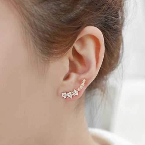 Needle Earings